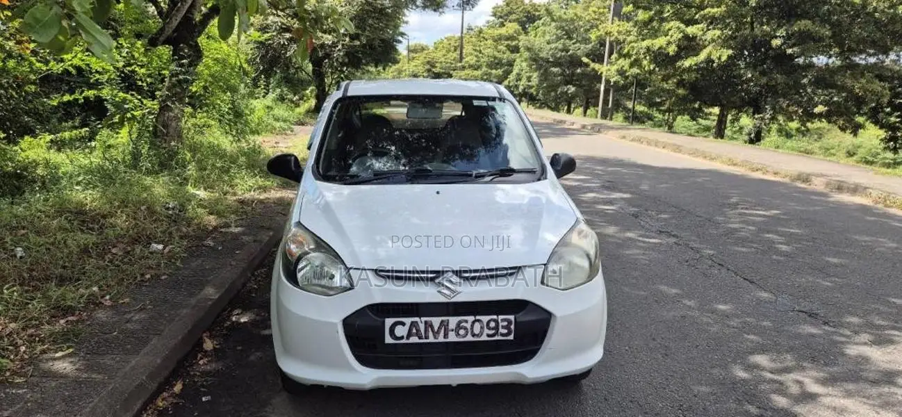 Suzuki Alto 2015 Car (Used)