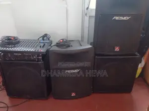 Paevey Das Professional Sound System for Sales