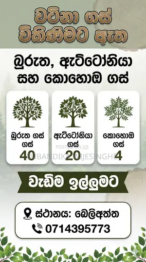 Trees for Sele