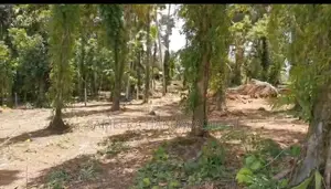 Land for Sale in Wadduwa (Mawala)