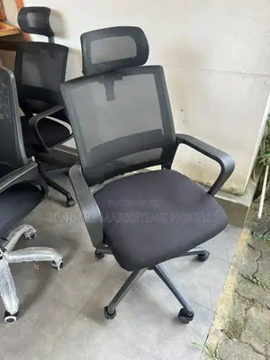 Ex Mesh Mini Adjustable H/Rest Office chairs