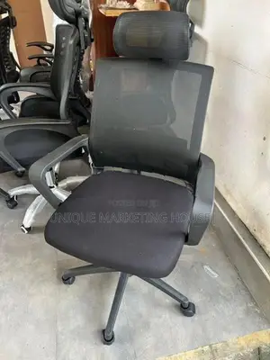 Ex Mesh Mini Adjustable H/Rest Office chairs