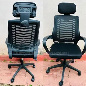 Ex Zebra Mesh Chair with Headrest
