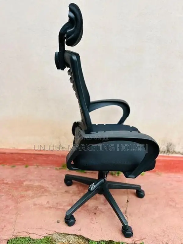 Ex Zebra Mesh Chair with Headrest