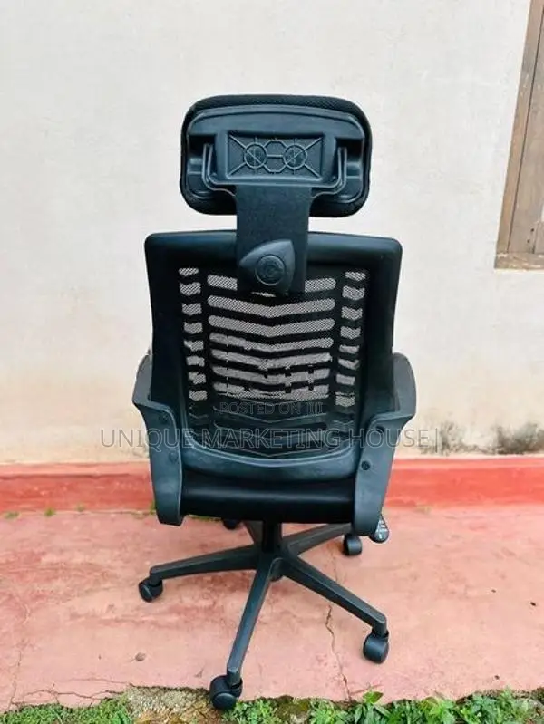 Ex Zebra Mesh Chair with Headrest