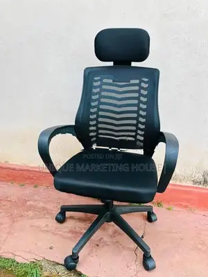 Ex Zebra Mesh Chair with Headrest
