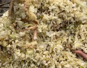 Banana Tree Shredder