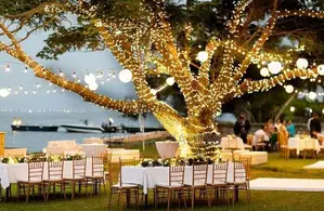 Tiffany Crossback Rainbow Chair Covers