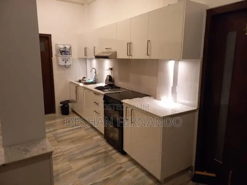Modern imported pantry cupboard