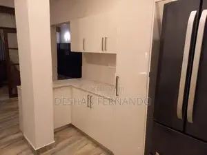 Modern imported pantry cupboard