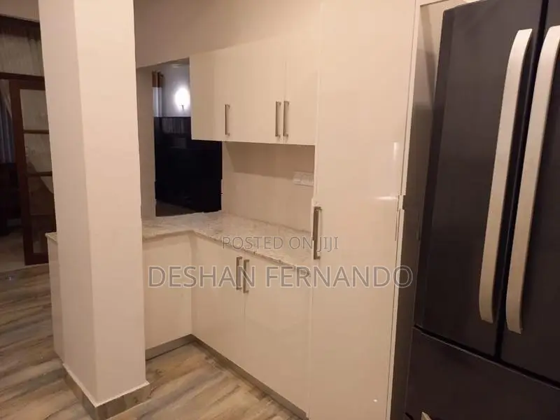Modern imported pantry cupboard