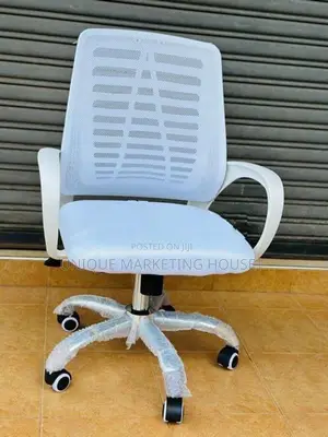 White Zebra Mesh Ex Office Chair
