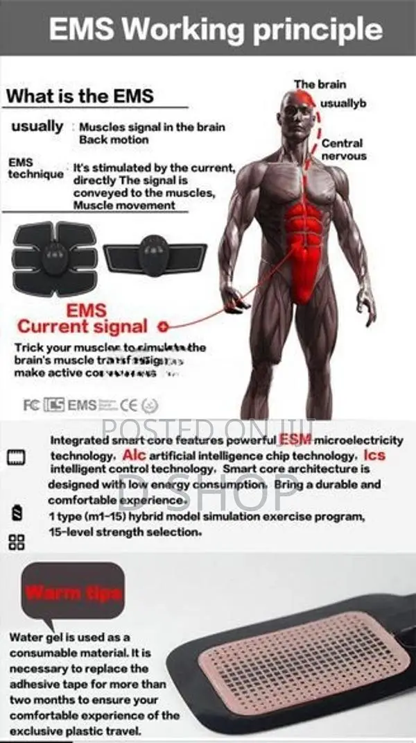 6 Pack Massager EMS - Beauty Body Gym Abdominal Muscle