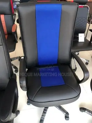 Pyestra Hi-Bk Managing Office Chairs