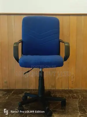 Executive Low Back Office Chair - Imported