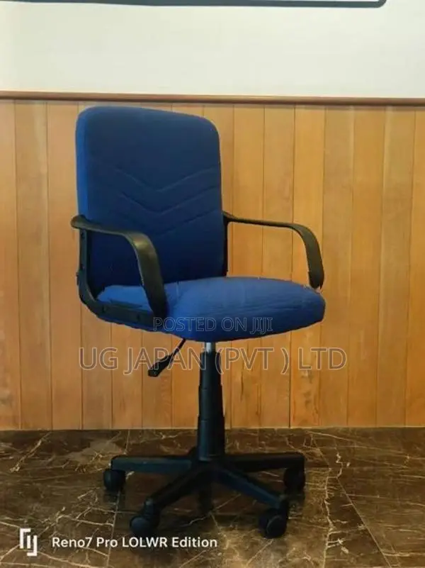 Executive Low Back Office Chair - Imported