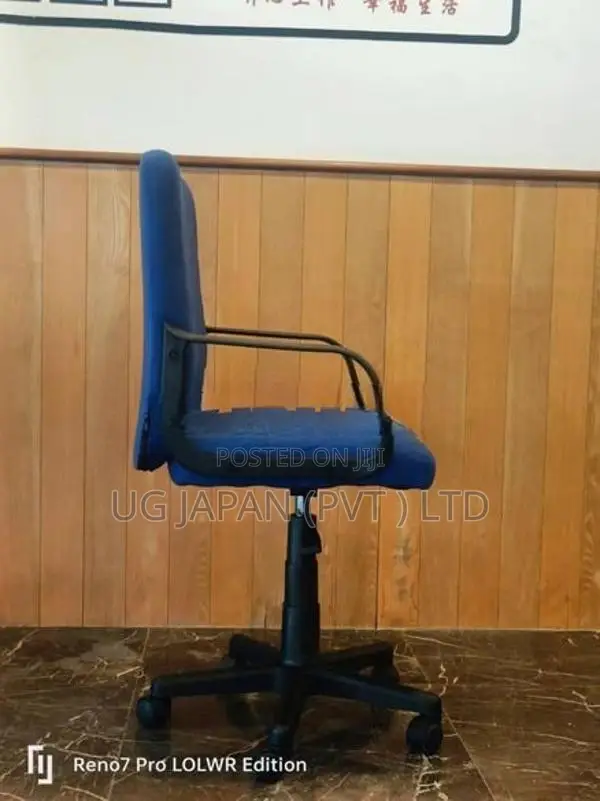 Executive Low Back Office Chair - Imported