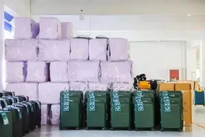 Pp Luggage Trolley Bags Sets