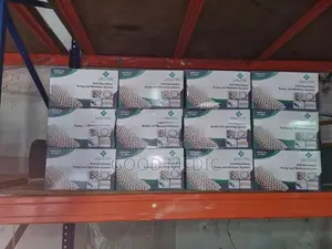 Patient Air Mattress