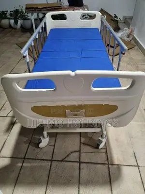 Patient Four Function Electric Hospital Beds