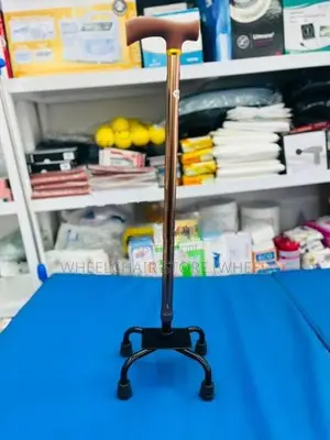 Quad Cane (BrownSilver)