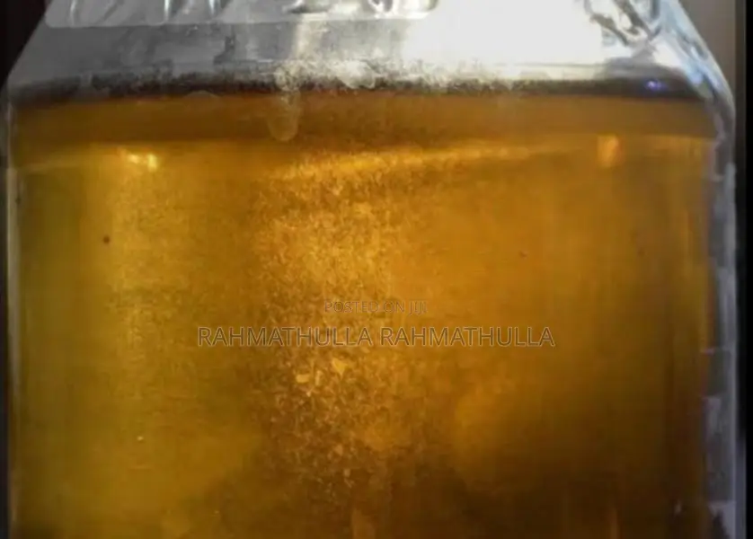 Vinegar Eel