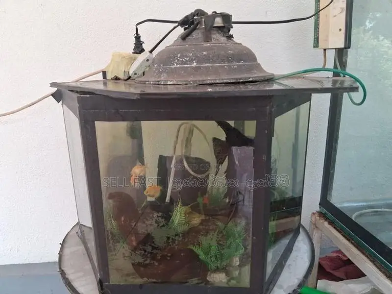 Fish Tanks for sale with accessories