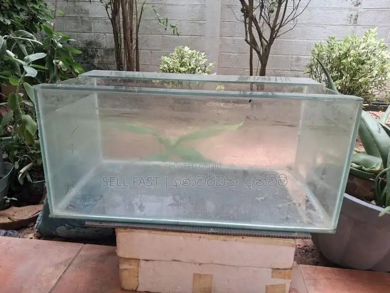 Fish Tanks for sale with accessories