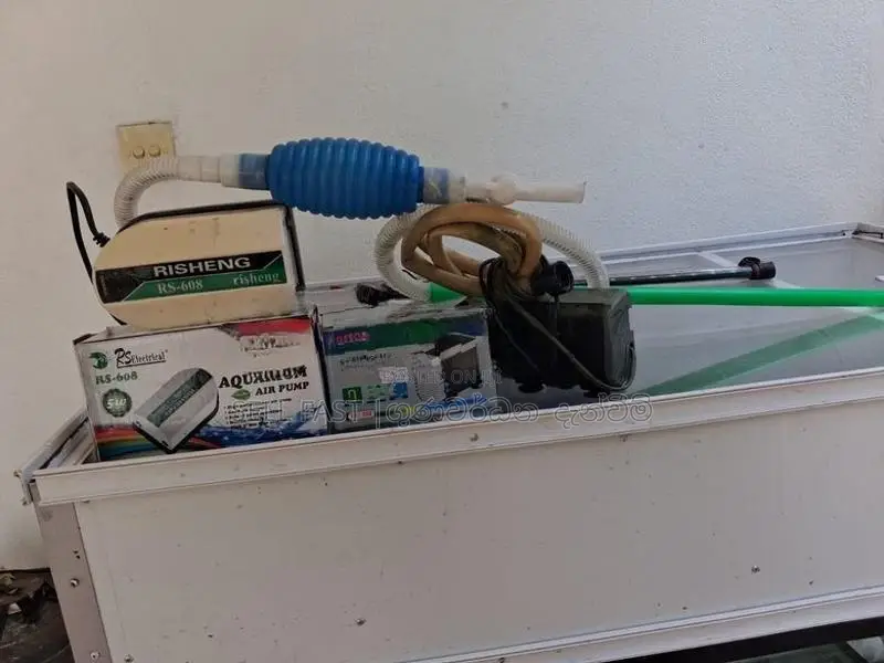 Fish Tanks for sale with accessories