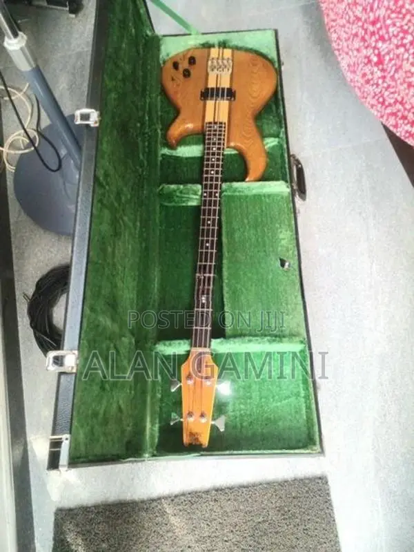 Guitar