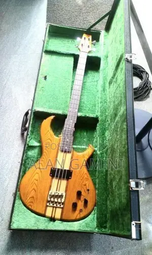 Guitar