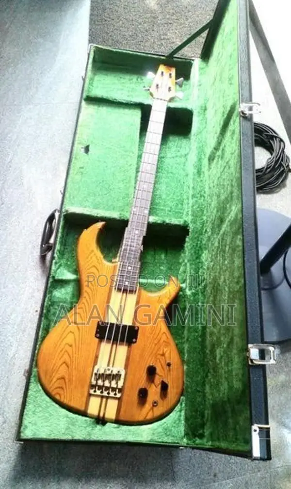 Guitar