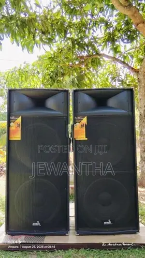 Avvox 2025 Pro Power Speaker