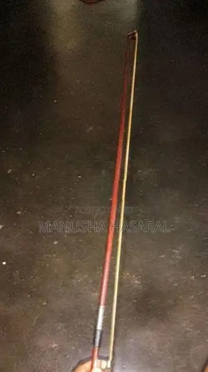 වයලීනයක්
