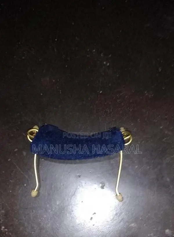 වයලීනයක්