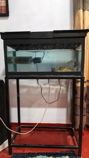 Frish Tank