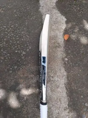 SF Almandus 10 000 Cricket Bat