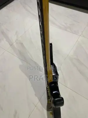 Electric Guitar