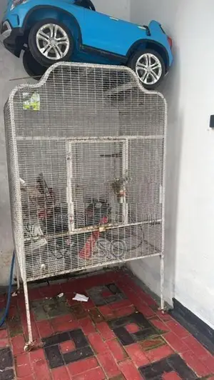 Large Size Cage