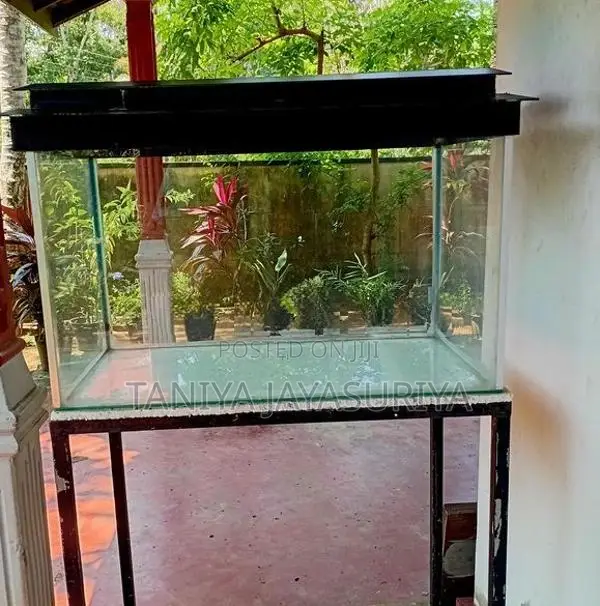 2.5ft Glass Fish Tank Full Set with Stand