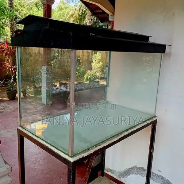 2.5ft Glass Fish Tank Full Set with Stand