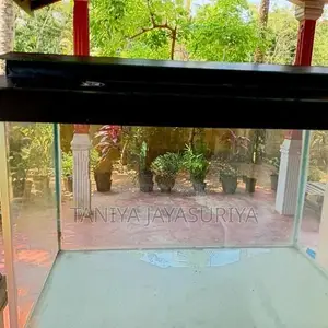 2.5ft Glass Fish Tank Full Set with Stand