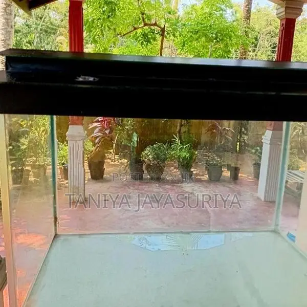 2.5ft Glass Fish Tank Full Set with Stand