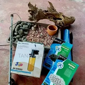 2.5ft Glass Fish Tank Full Set with Stand
