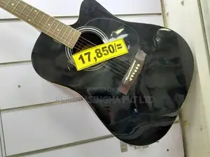 Suzuki Box Guitar