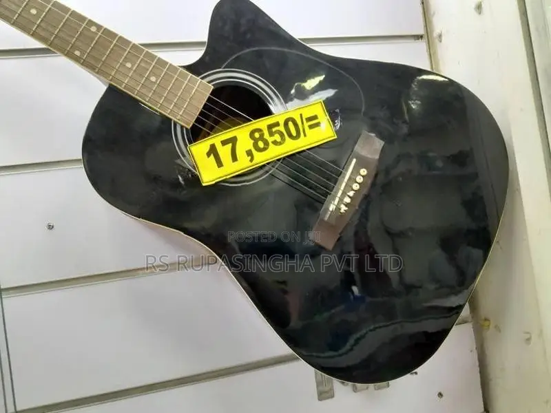 Suzuki Box Guitar