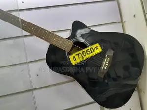 Suzuki Box Guitar
