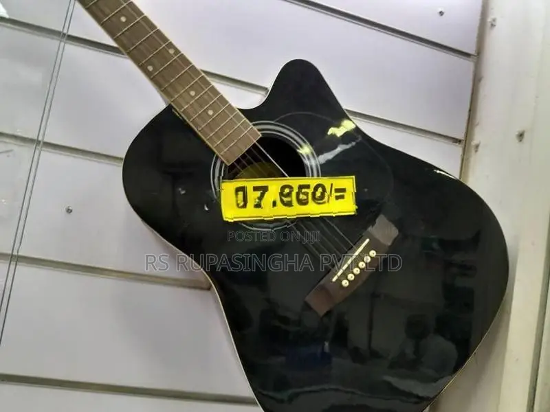 Suzuki Box Guitar