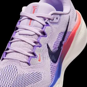 Nike Pegasus 41 (Code FD2723-503)