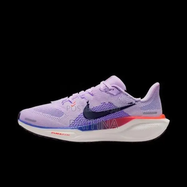 Nike Pegasus 41 (Code FD2723-503)